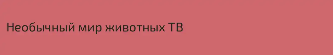 Необычный мир животных ТВ